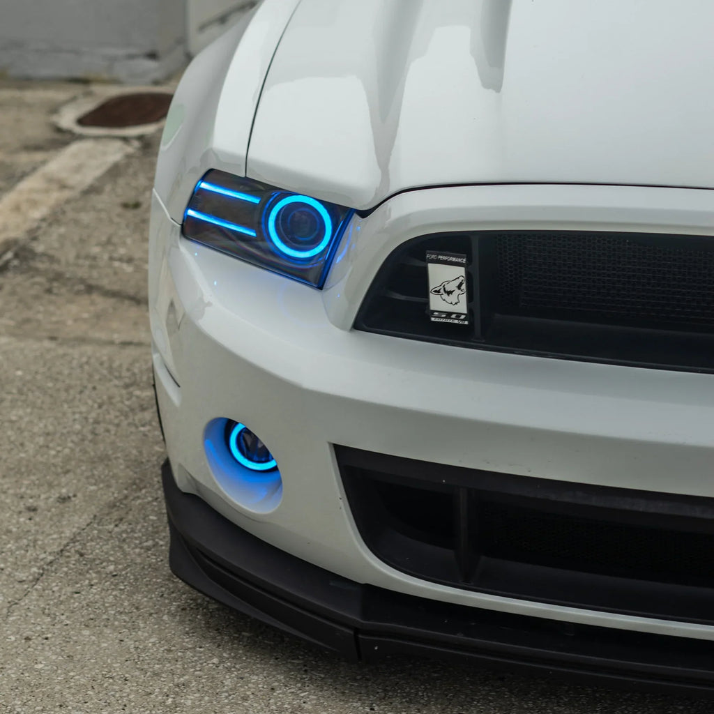 10-14 MUSTANG